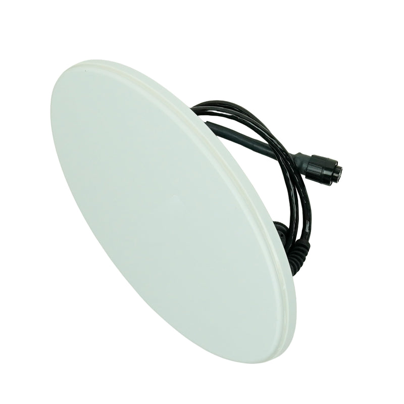 A white oval search coil with a black cord on a clean white background.