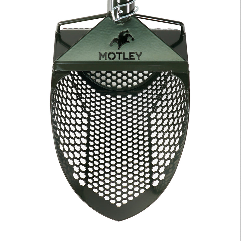 Motley Beach Scoop