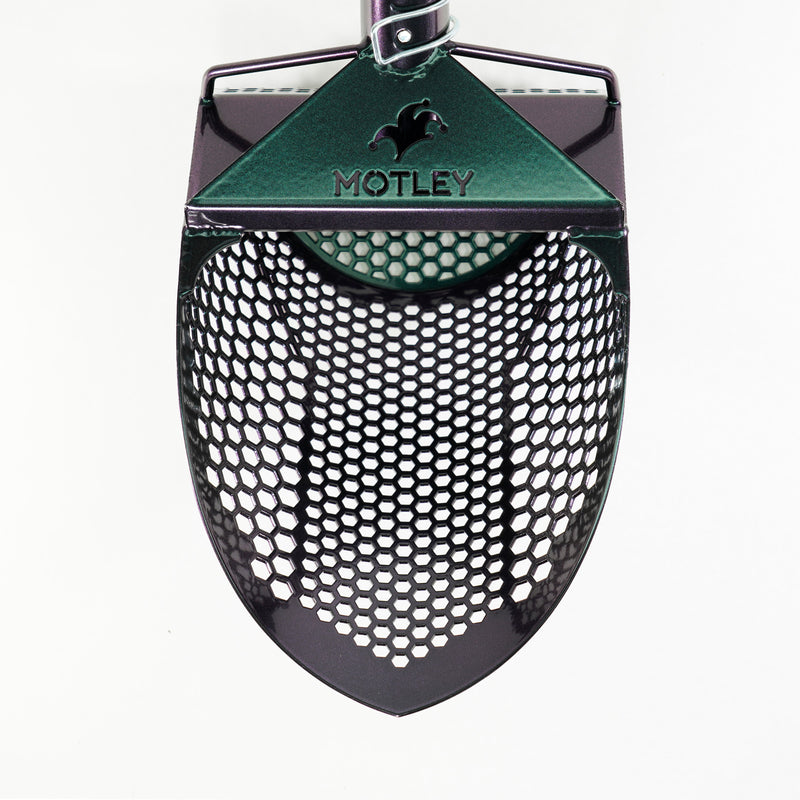 Motley Beach Scoop