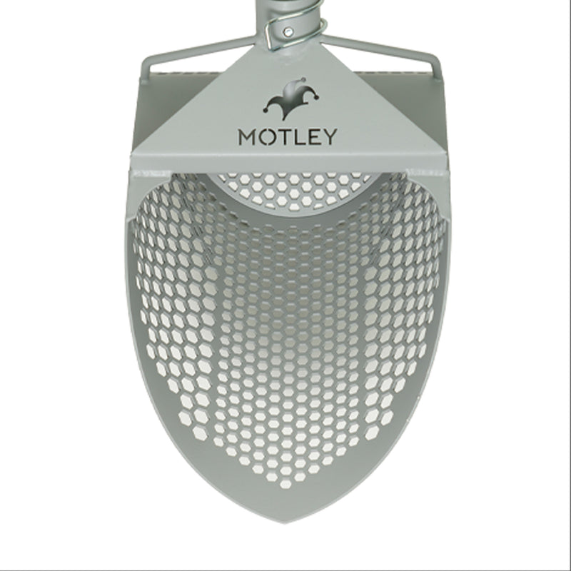 Motley Beach Scoop