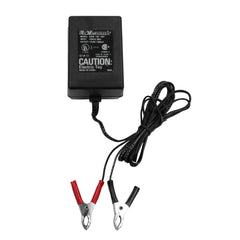 Camel Mining Wall Charger CM-032